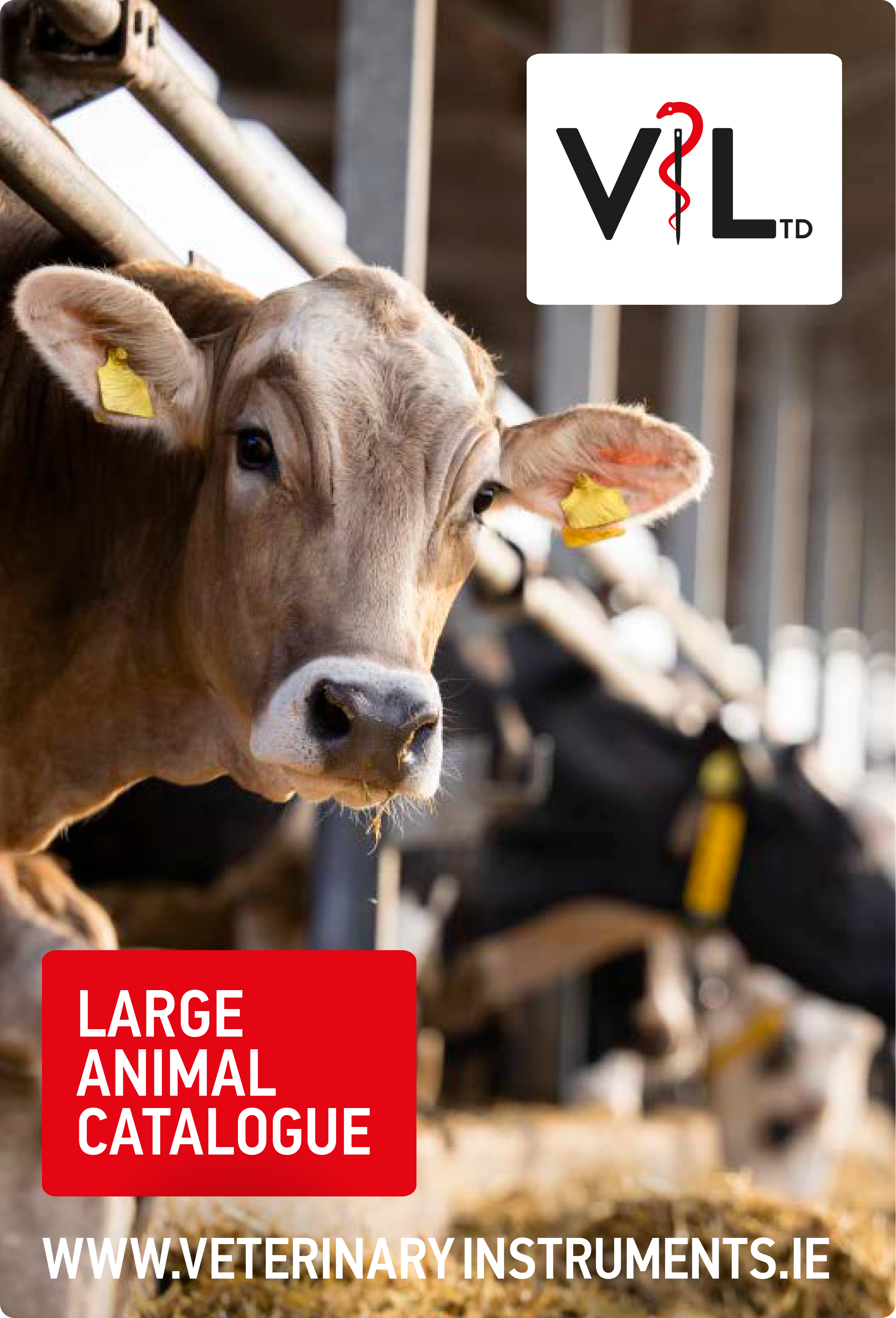 Large Animal Catalogue Cover